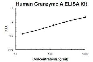 Human Granzyme A PicoKine ELISA Kit standard curve