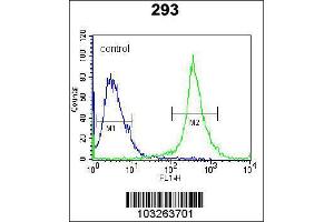 Image no. 3 for anti-Interleukin 27 (IL27) (Center) antibody (ABIN2489302)