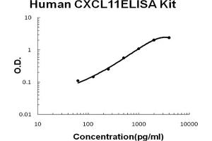 Image no. 1 for Chemokine (C-X-C Motif) Ligand 11 (CXCL11) ELISA Kit (ABIN6720222)