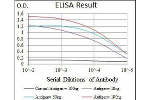 Image no. 3 for anti-Enolase 2 (Gamma, Neuronal) (ENO2) (AA 251-433) antibody (ABIN969577)