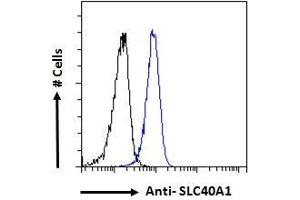 Image no. 2 for anti-Solute Carrier Family 40 (Iron-Regulated Transporter), Member 1 (SLC40A1) (AA 245-259) antibody (ABIN2613478)
