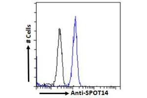 Image no. 1 for anti-Thyroid Hormone Responsive (THRSP) (Internal Region) antibody (ABIN6391365)