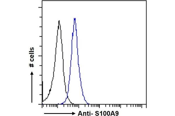 S100A9 anticorps  (Internal Region)