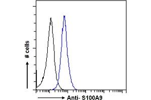 anti-S100 Calcium Binding Protein A9 (S100A9) (Internal Region) antibody