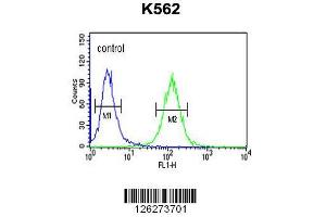 Image no. 1 for anti-Reticulon 4 Receptor-Like 1 (RTN4RL1) (AA 326-355), (C-Term) antibody (ABIN651458)