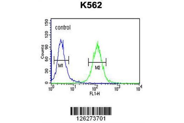 anti-Reticulon 4 Receptor-Like 1 (RTN4RL1) (AA 326-355), (C-Term) antibody