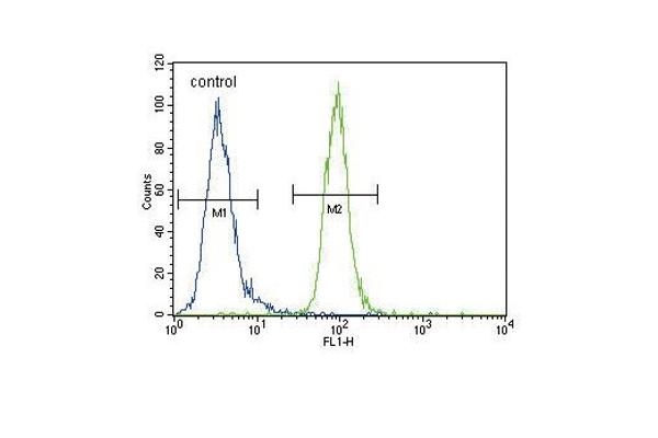 ENPP2 antibody  (AA 377-406)