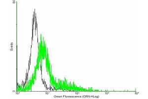 FACS analysis of negative control 293 cells (Black) and GIT2 expressing 293 cells (Green) using GIT2 purified MaxPab mouse polyclonal antibody.