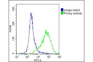 Overlay histogram showing U-2 OS cells stained with (ABIN1538072 and ABIN2849225)(green line).
