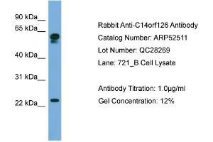 Image no. 2 for anti-Chromosome 14 Open Reading Frame 126 (C14orf126) (Middle Region) antibody (ABIN2784958)
