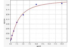 SASH1 Kit ELISA
