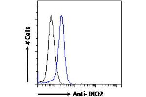 Image no. 3 for anti-Deiodinase, Iodothyronine, Type II (DIO2) (Internal Region) antibody (ABIN190862)