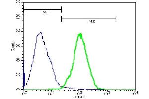 Image no. 1 for anti-Microtubule-Associated Protein 1B (MAP1B) (AA 451-550) antibody (FITC) (ABIN1388846)