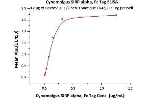 Image no. 2 for Signal-Regulatory Protein alpha (SIRPA) (AA 31-370) protein (Fc Tag) (ABIN6253558)
