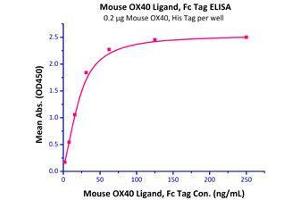Immobilized Mouse OX40, His Tag (Cat# OX0-M5228) at 2 μg/mL (100 μl/well) can bind Mouse OX40 Ligand, Fc Tag (Cat# OXL-M526x) with a linear range of 2-30 ng/mL.