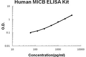 Human MICB PicoKine ELISA Kit standard curve