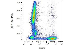 Flow cytometry analysis of human peripheral blood  stained with CRIS1 antibody PE.