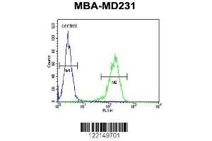 Image no. 3 for anti-14-3-3 zeta (YWHAZ) (AA 65-93) antibody (ABIN652428)