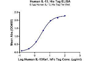 ELISA image for Interleukin 13 (IL13) protein (His-Avi Tag) (ABIN7274900)