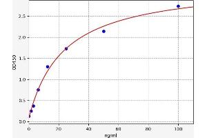 Image no. 1 for Insulin-Like Growth Factor 2 (IGF2) ELISA Kit (ABIN6967639)