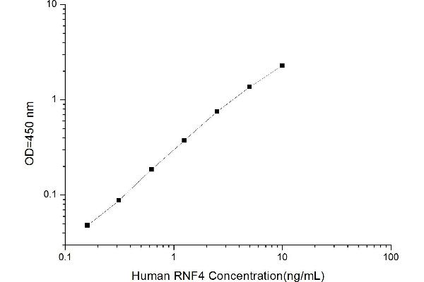 RNF4 ELISA Kit