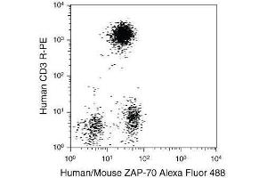 Flow Cytometry (FACS) image for FIX&PERM® Kit 1000 (ABIN1741577)