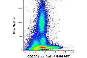 Image no. 1 for anti-CD200 (CD200) antibody (ABIN6240832)