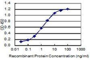Image no. 1 for anti-Zinc Finger Protein 12 (ZNF12) (AA 69-175) antibody (ABIN2565994)