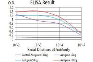 Image no. 5 for anti-HLA Class II DR alpha (HLA-DRA) (AA 26-254) antibody (ABIN5542623)