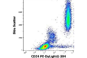 Image no. 1 for anti-CD24 Molecule (CD24) antibody (PE-DyLight 594) (ABIN7013984)