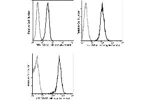 Image no. 2 for anti-Poliovirus Receptor (PVR) (AA 1-343) antibody (FITC) (ABIN1995683)