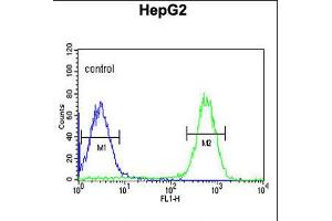 Image no. 3 for anti-Tescalcin (TESC) (AA 88-116), (C-Term) antibody (ABIN5537882)