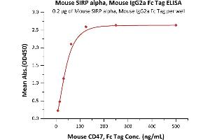 Image no. 3 for Signal-Regulatory Protein alpha (SIRPA) (AA 32-373) (Active) protein (Fc Tag) (ABIN6253632)