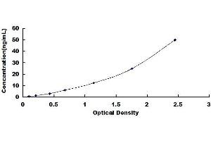 EXT1 ELISA Kit