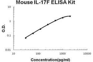 Image no. 1 for Interleukin 17F (IL17F) ELISA Kit (ABIN1672799)