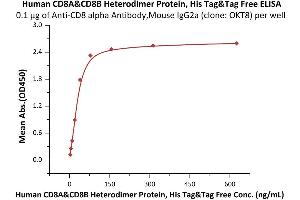 Image no. 1 for CD8 (CD8) (AA 22-182) (Active) protein (His tag) (ABIN7013442)