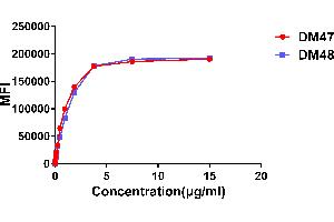Image no. 1 for anti-Angiotensin I Converting Enzyme 2 (ACE2) (AA 18-740) antibody (ABIN6964047)