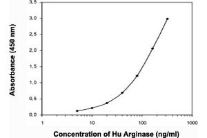 Image no. 1 for Arginase, Liver (ARG1) ELISA Kit (ABIN2683492)