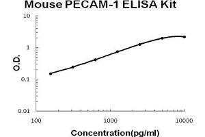 Image no. 1 for Platelet/endothelial Cell Adhesion Molecule (PECAM1) ELISA Kit (ABIN921113)