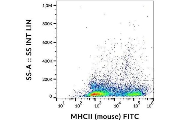 MHC Class II 抗体  (FITC)