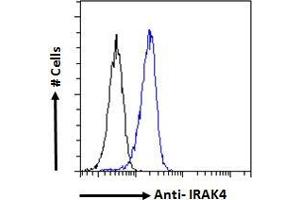 Image no. 3 for anti-Interleukin-1 Receptor-Associated Kinase 4 (IRAK4) (N-Term) antibody (ABIN185338)