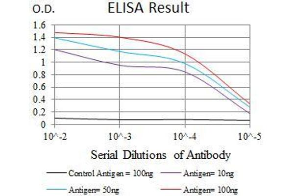 Integrin Alpha2b antibody  (AA 45-149)