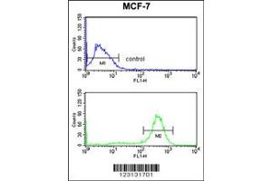 Flow Cytometry (FACS) image for anti-Chondroitin Polymerizing Factor (CHPF) antibody (ABIN2158238)