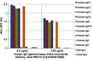 Image no. 2 for anti-Immunoglobulin Heavy Constant gamma 1 (G1m Marker) (IGHG1) antibody (ABIN5580384)