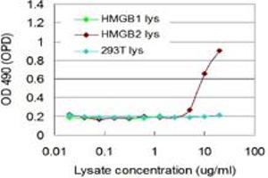 ELISA image for HMGB2 (Human) Matched Antibody Pair (ABIN1341466)