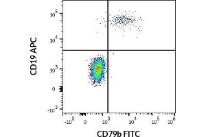 Image no. 2 for anti-CD79b Molecule, Immunoglobulin-Associated beta (CD79B) antibody (FITC) (ABIN1027695)