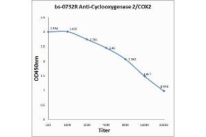 Image no. 2 for anti-Prostaglandin-Endoperoxide Synthase 2 (Prostaglandin G/H Synthase and Cyclooxygenase) (PTGS2) (AA 501-604) antibody (ABIN672471)
