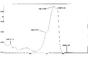 Absorbance Spectrum
