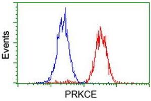 Image no. 4 for anti-Protein Kinase C, epsilon (PRKCE) antibody (ABIN1500228)