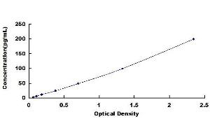 S100B ELISA Kit